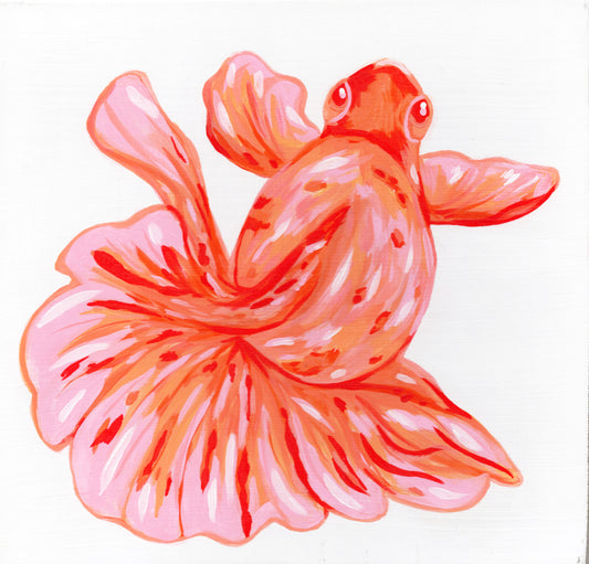 Pink Goldfish